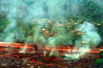 Foto Waldbrand