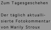 Text: Fotokommentar zum Tagesgeschehen. Der täglich aktuallisierte Fotokommentar von Marily Stroux